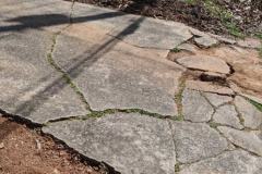 289948113_337475635074132_1403839019097053516_n